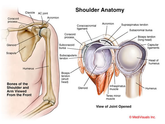 image source, medvisuals