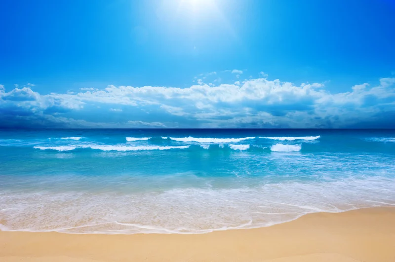 Episode 064 - Summer Solstice with Amy Shellhorn.jpg
