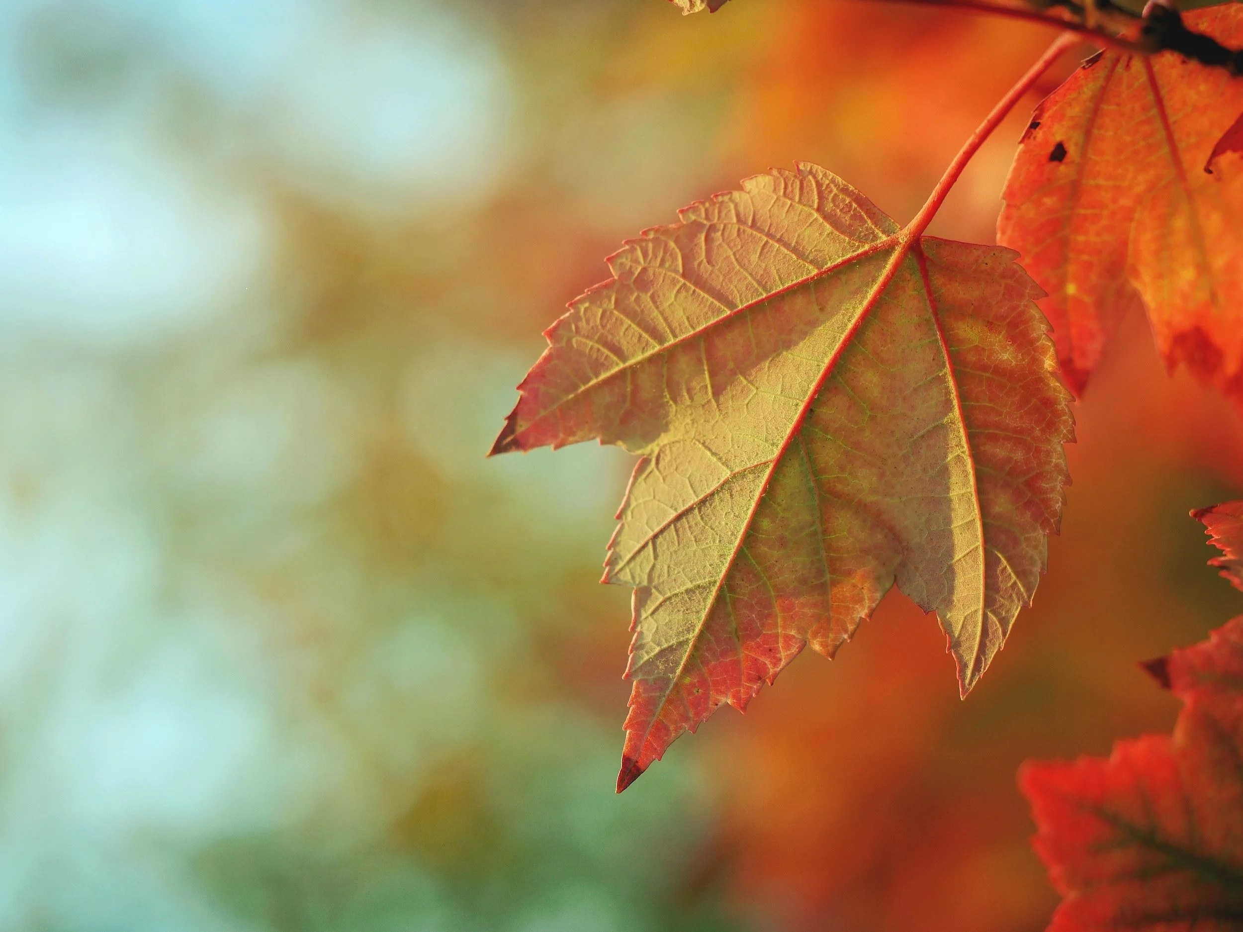 Photo by Aaron Burden on Unsplash