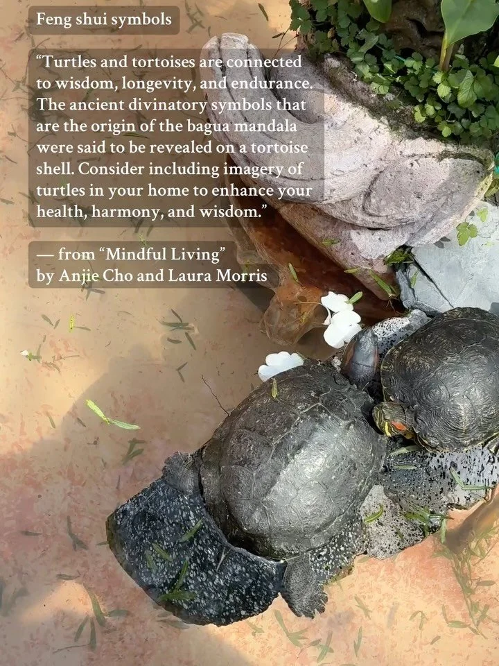 Feng shui symbols, the turtle and the tortoise

&ldquo;Turtles and tortoises are connected to wisdom, longevity, and endurance. The ancient divinatory symbols that are the origin of the bagua mandala were said to be revealed on a tortoise shell. Cons