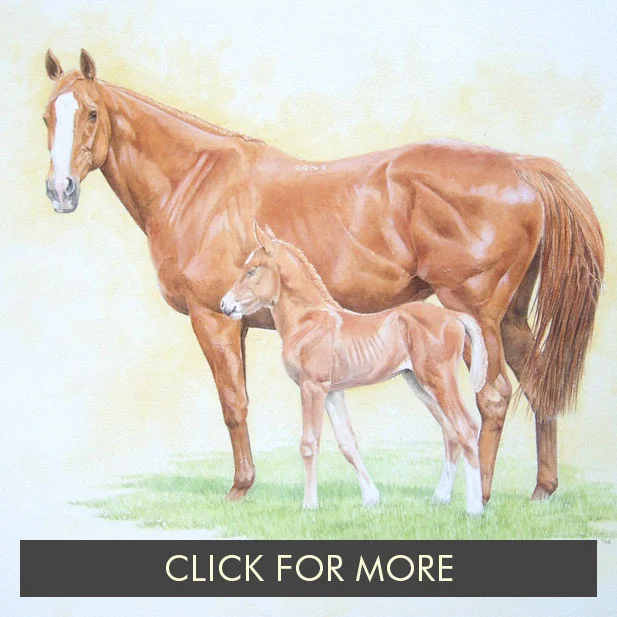 HorsesPage01_0014_Johnson's Mare and Foal.jpg.jpg