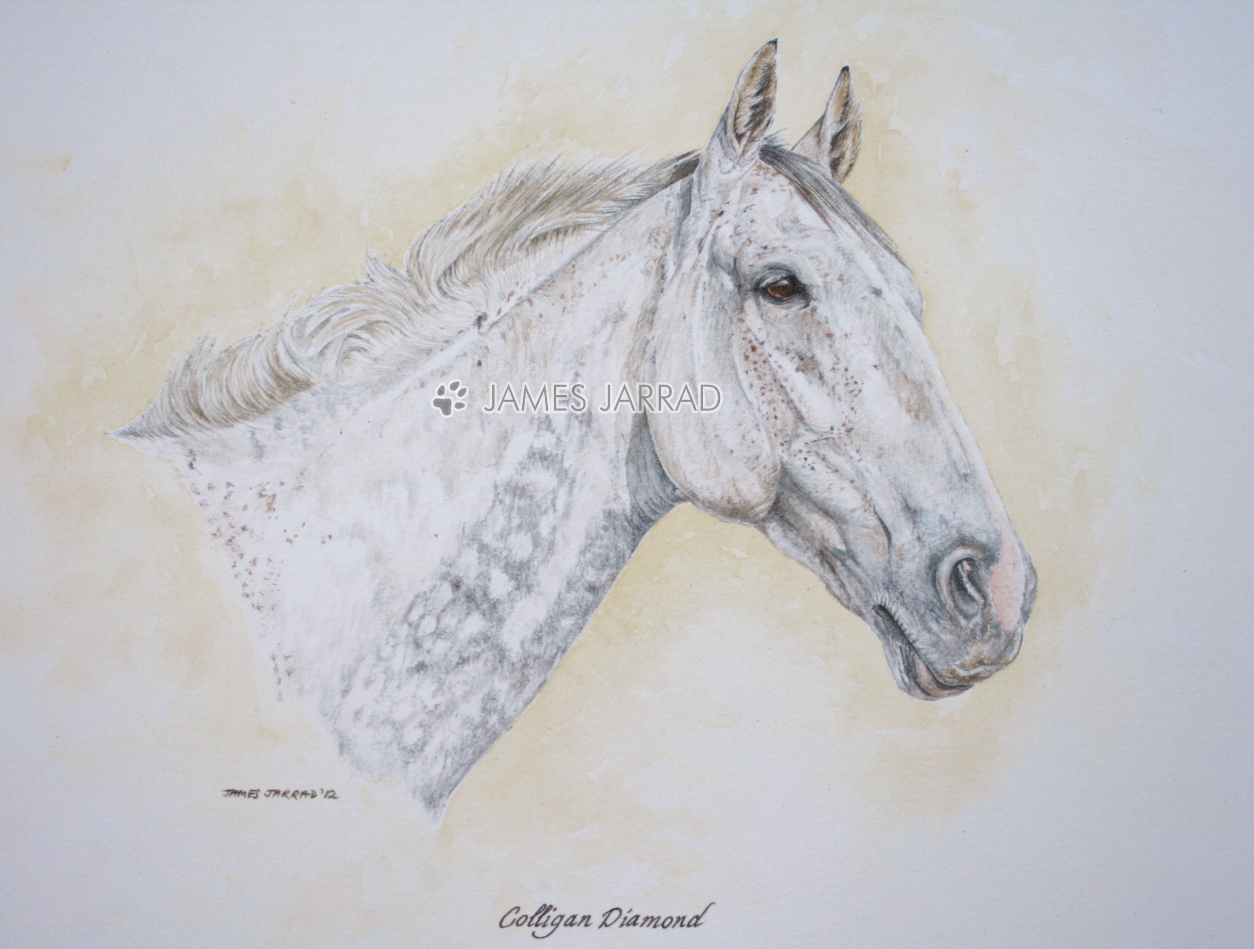 Chester & Sinbad.jpg