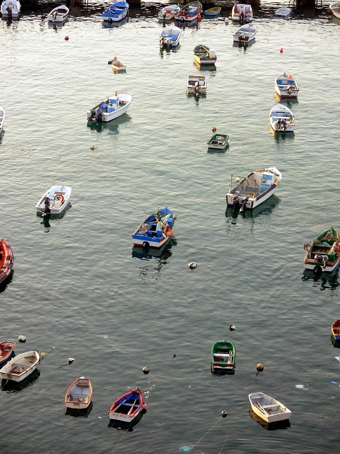 fishing boats.jpg