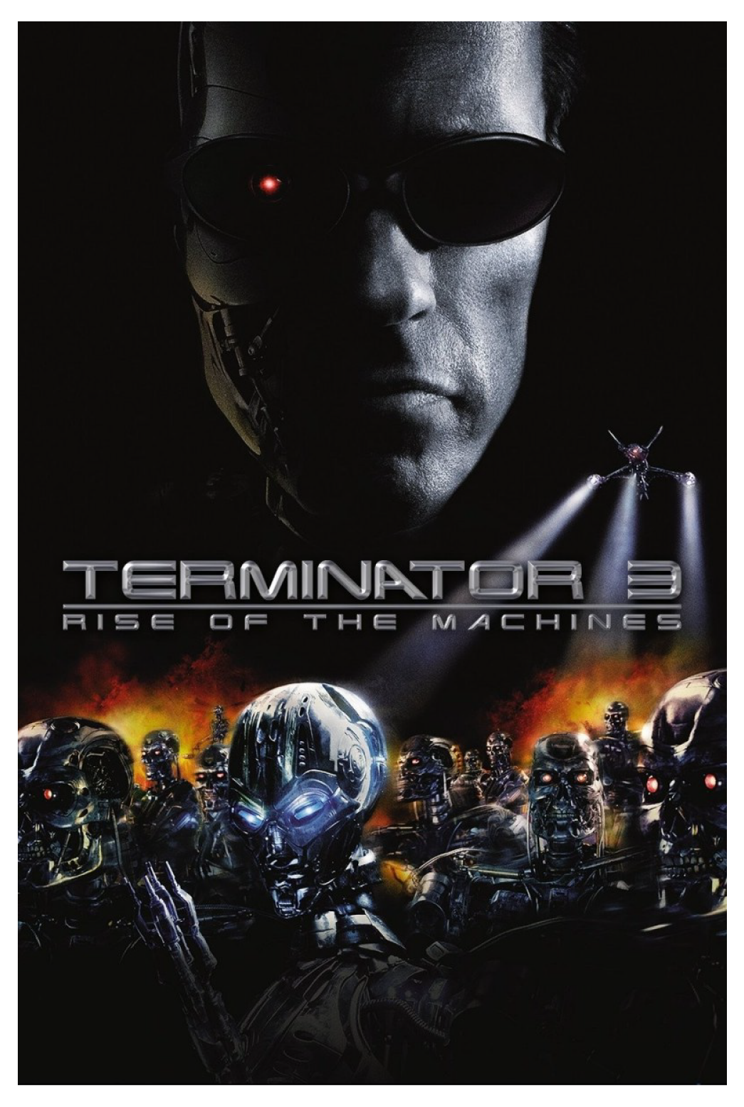 terminator 3.png