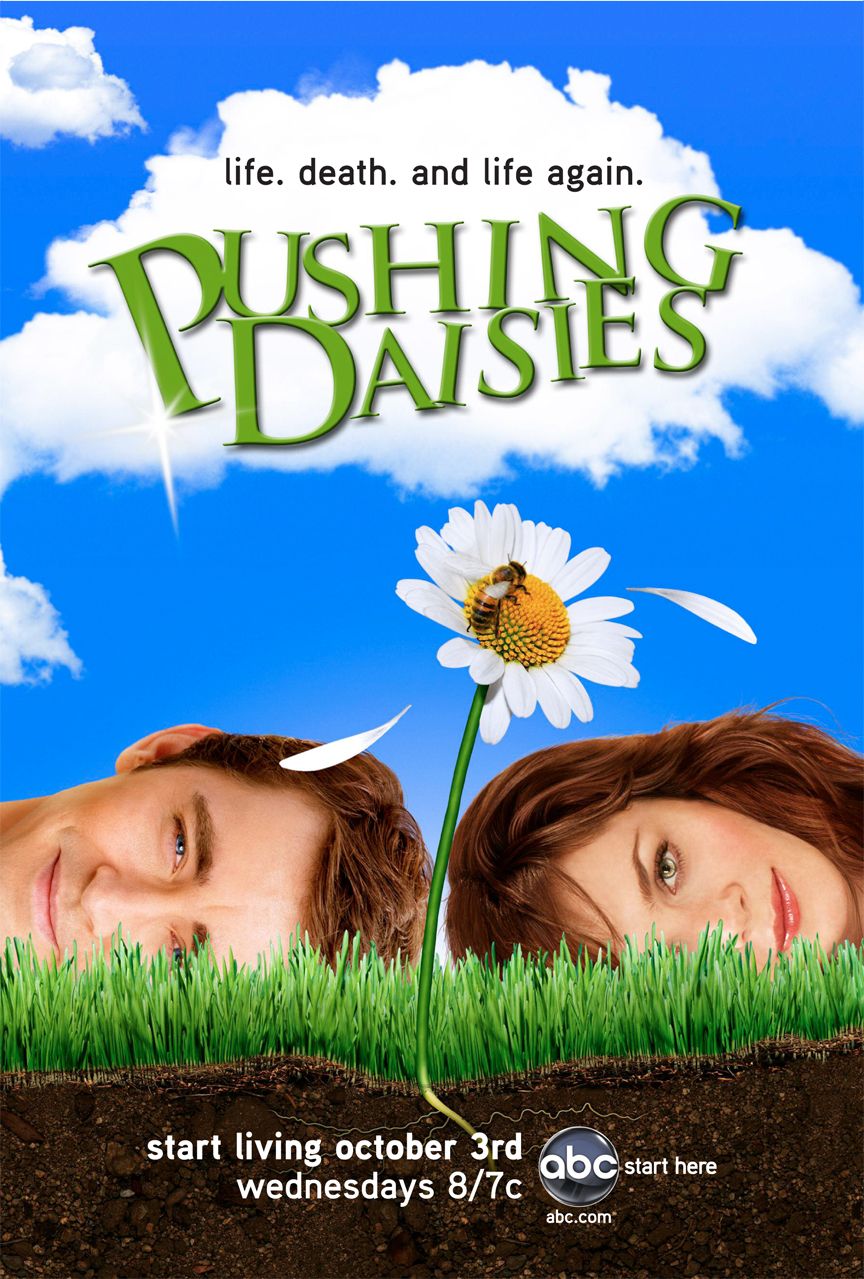 pushing daisies.jpg