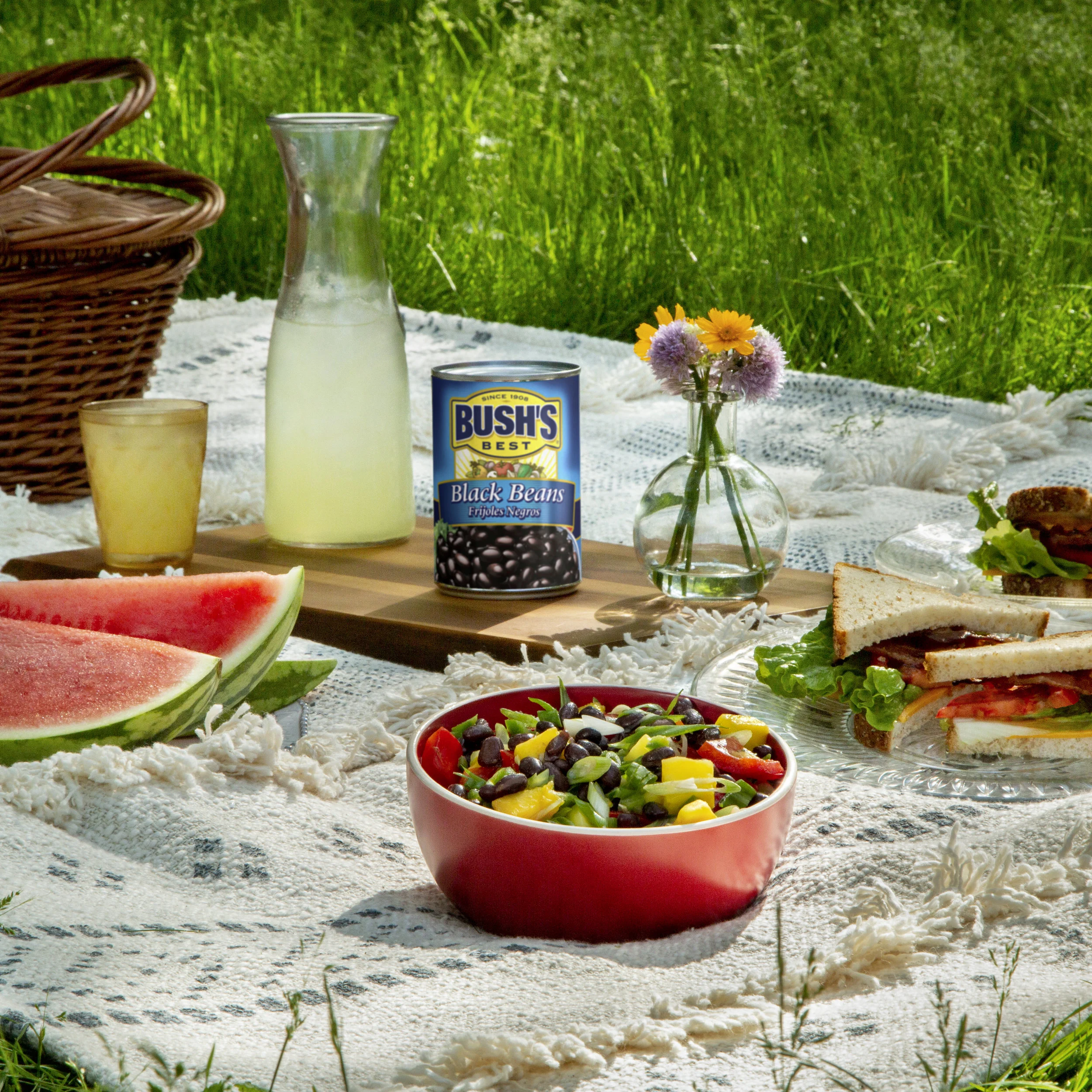 03_BUSHs_AOS_Picnic_v2.jpg