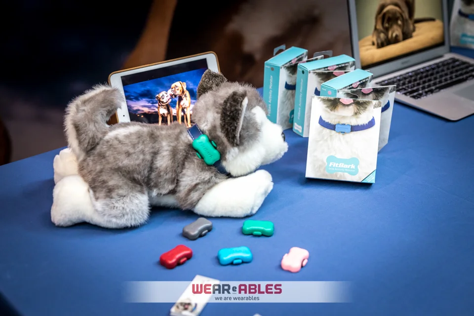 Dog translators & cat-eye cameras: The WWTO Pet Wearable Wish list