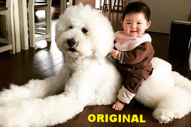 baby on dog.jpg