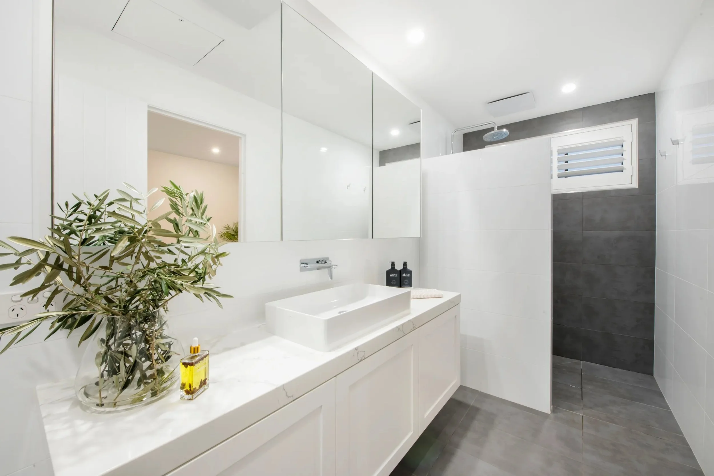 North Entrance Bathroom 1.jpeg