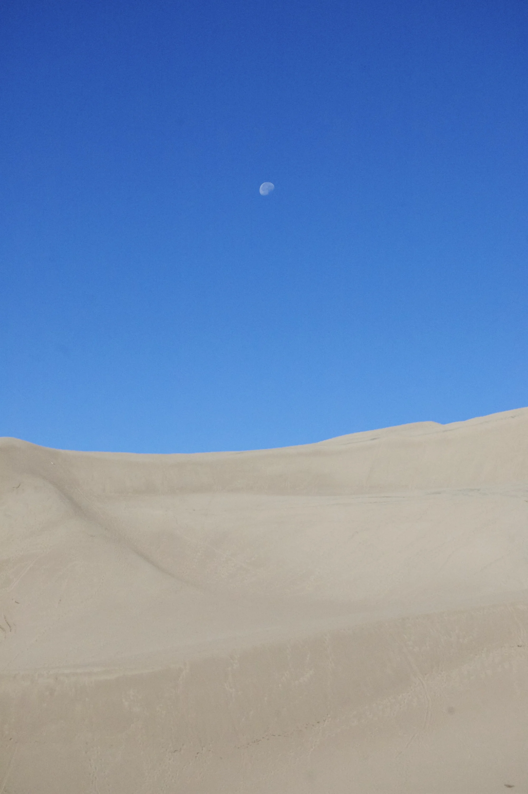 DSC_0178.jpg