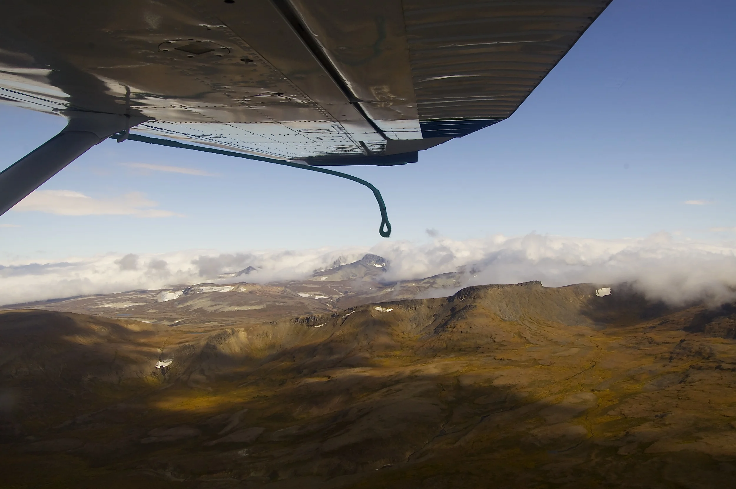 DSC_0561.jpg