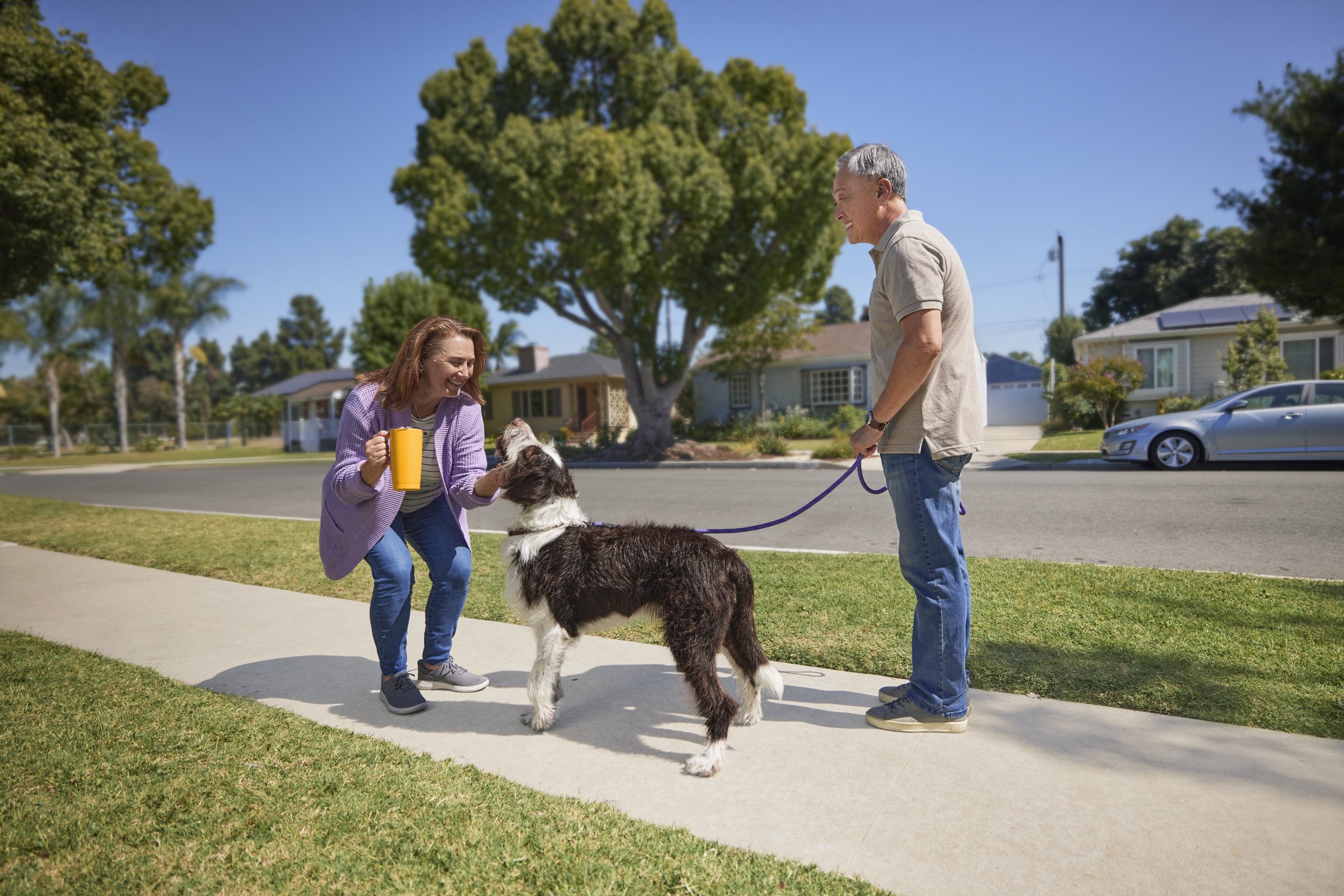 P00112234_01_DOG_WALKER_0298 1_V3_RGB_HR.jpeg