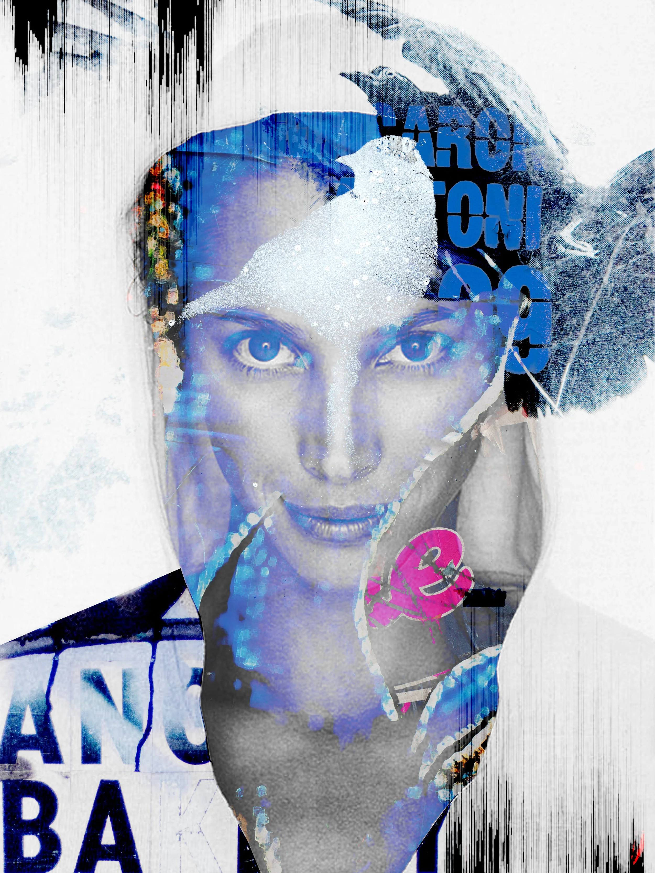 Turlington Blue Sparrow