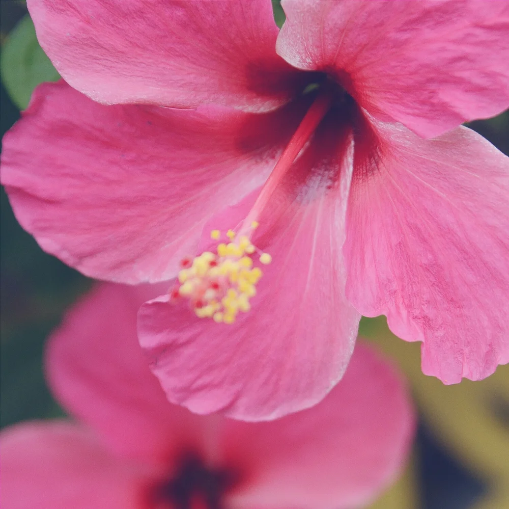 Once upon a summer..