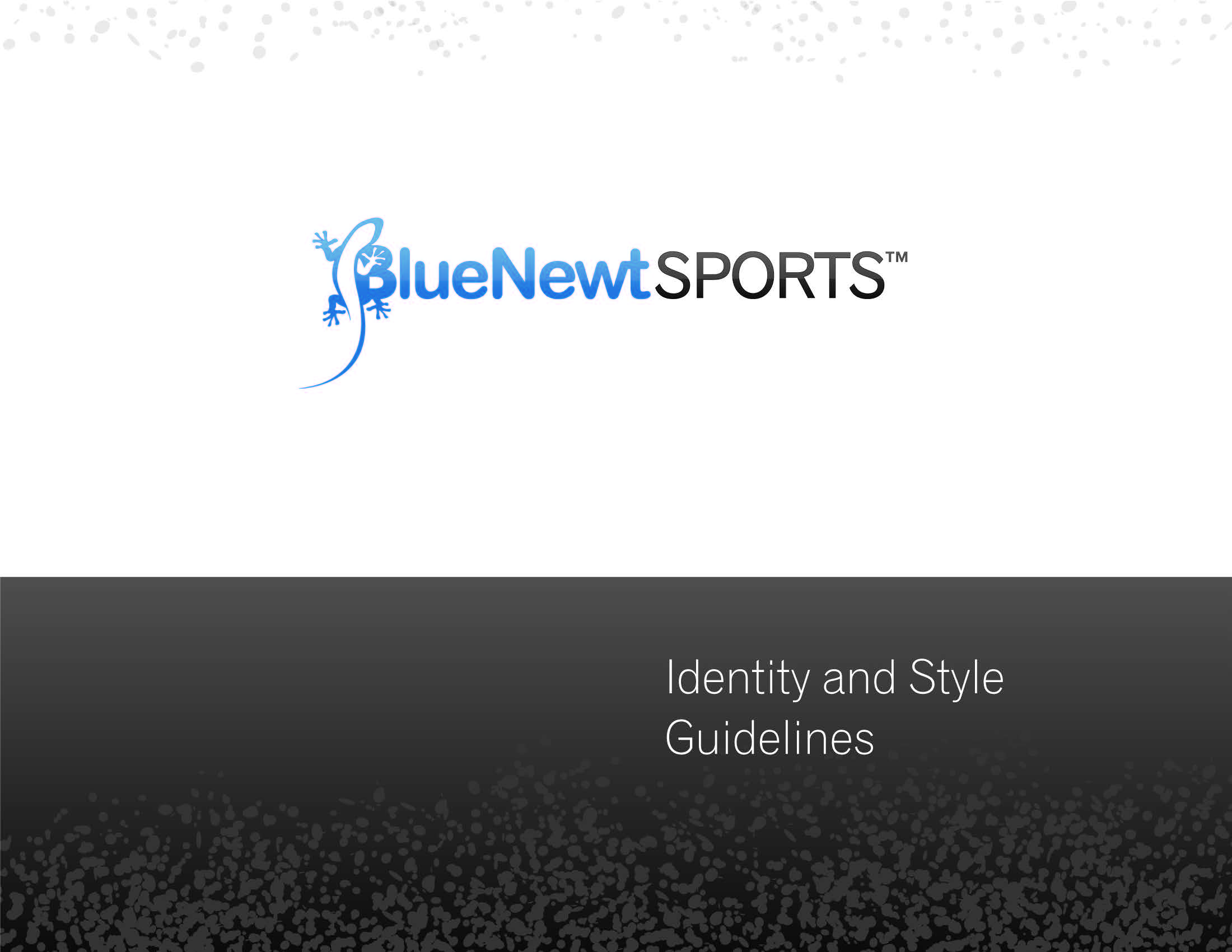 bns_styleguide_Page_01.jpg