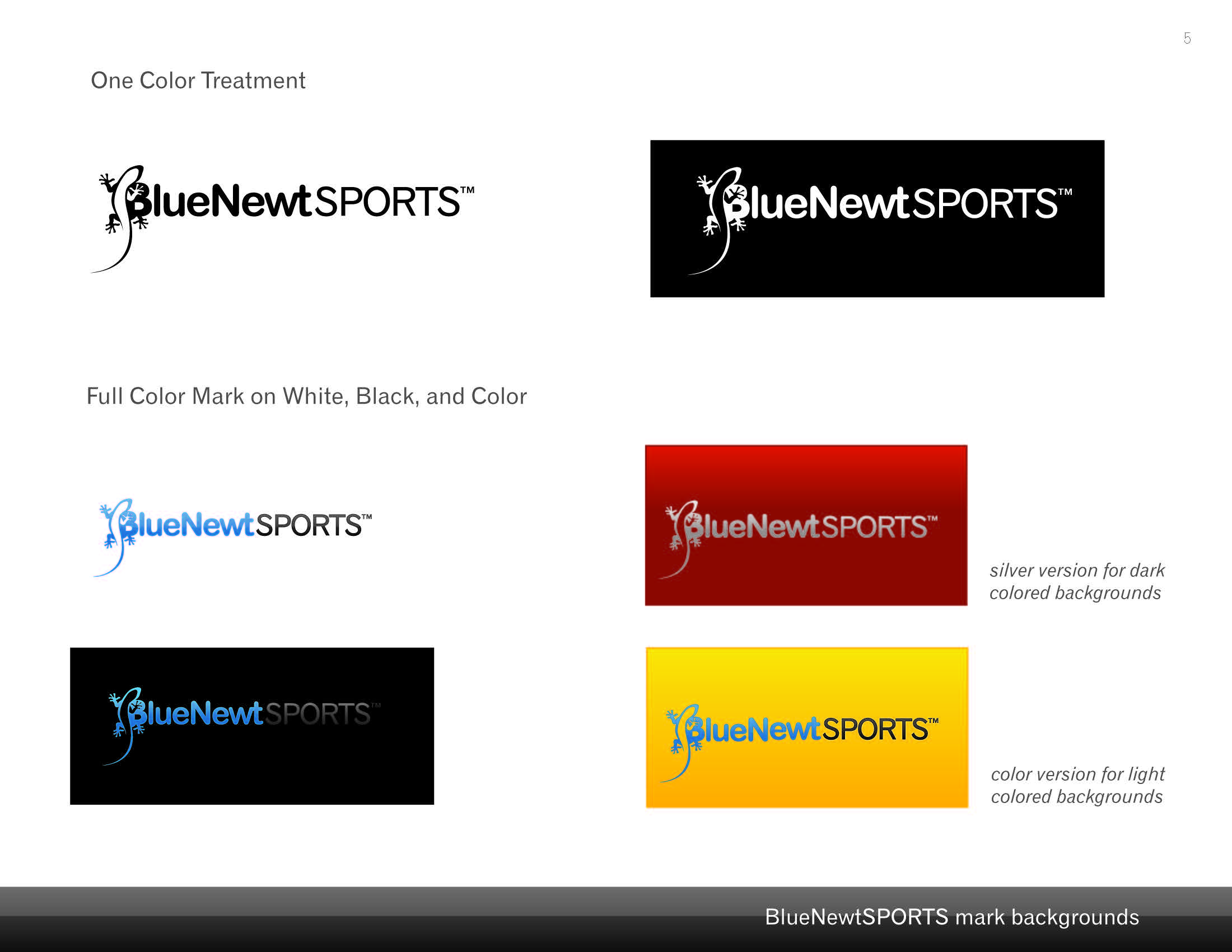 bns_styleguide_Page_05.jpg