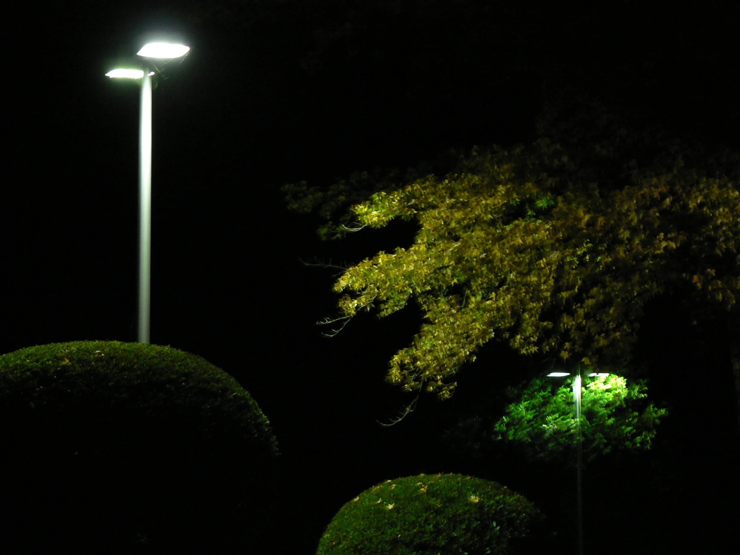Cascade Lighting Pictures Web Site 005.JPG