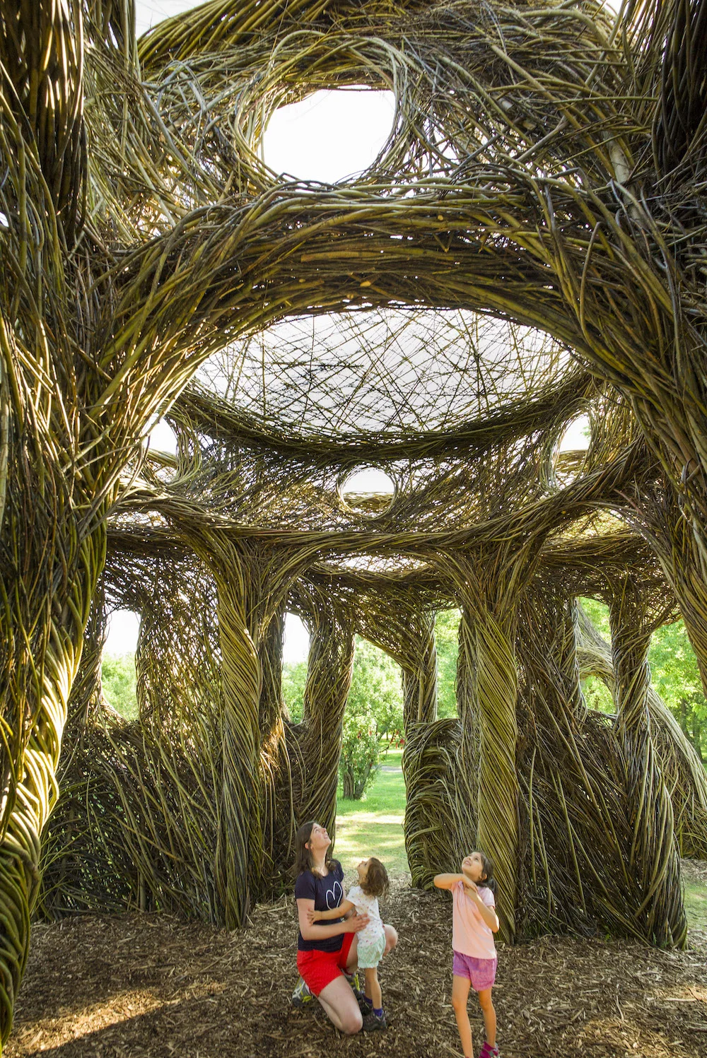 07/2017 -Fancy's Bower-, Montreal Botanical Garden, Montreal, QB ...