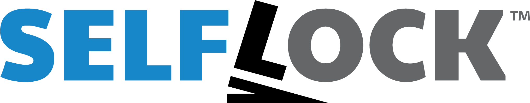 SelfLock_logo.png