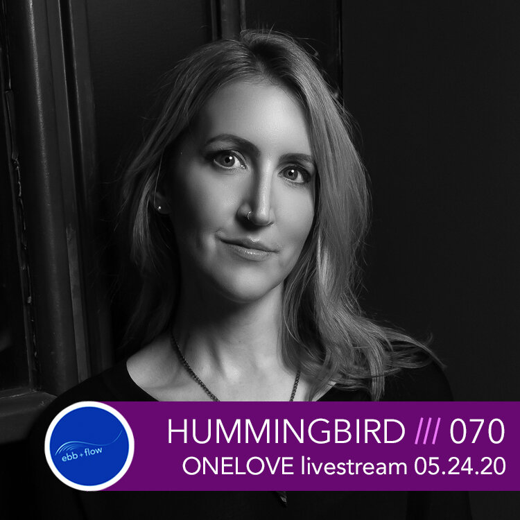 CD070 - ONELOVE Hummingbird.jpg