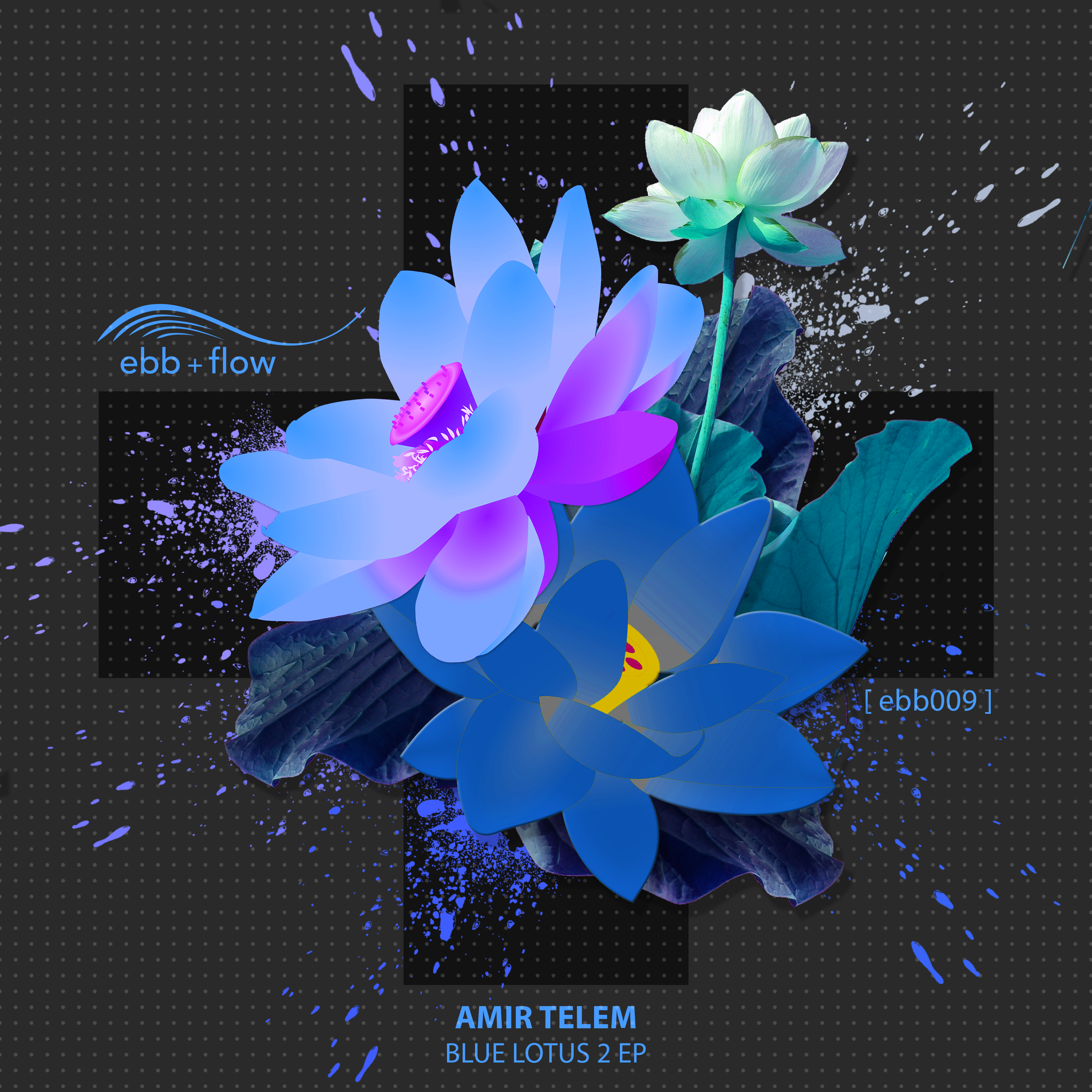009 BLUE LOTUS 2 EP