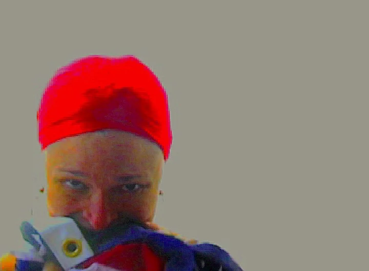 Eating the American Flag