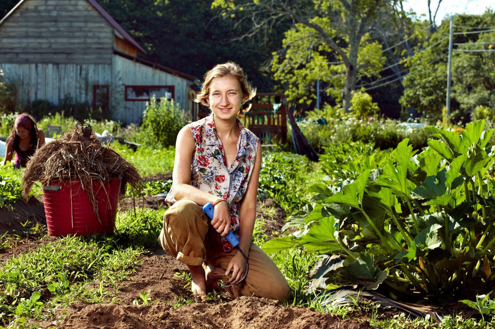 Becca Roe , 22, from Washington, DC, graduated from Middlebury College in 2015 What is your favorite task to do on the farm, and favorite thing to harvest? I get a weird satisfaction from squishing bugs (especially japanese beetles) and feeding them to the chickens. I love harvesting onions and scallions, and root veggies of all kinds. What’s your favorite CD to listen to in the greenhouse? It’s a toss-up between Dolly Parton’s The Grass is Blue and Grateful Dead’s Reckoning Why did you do this apprenticeship? Ultimately I want to work with food in some capacity — perhaps through urban agricultural initiatives or farm-to-school programs — so I think understanding how organic food is grown is an important step. Fun facts: I get very squeaky hiccups nearly every day, and I’m a burgeoning craft beer snob. I’m also cultivating a newfound appreciation for very twangy bluegrass. Spirit veg: radish