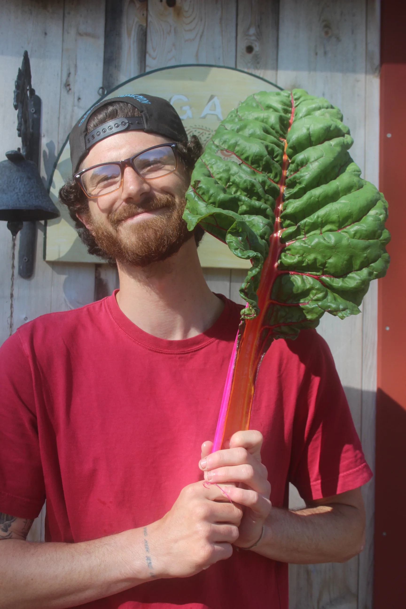 Jonathan DeLao Vegetable Farming Apprentice Hometown: Great Falls, VA Where were you before Frinklepod? Philadelphia, PA, working in the produce department of Mom's Organic Market, a small-scale grocery store chain based in the Mid-Atlantic region. Why are you doing this apprenticeship? An apprenticeship on an organic farm seemed like the next logical step for me. After arriving and meeting the family, I couldn't be happier with my decision. Favorite Plant? Cauliflower What has inspired you lately? Marylin Wentworth. An herb drying, kombucha making, juice storing, berry freezing, total badass of a woman. She and her husband Stacey are a wealth of knowledge for anyone interested in homesteading and living simply. They're both a daily inspiration.
