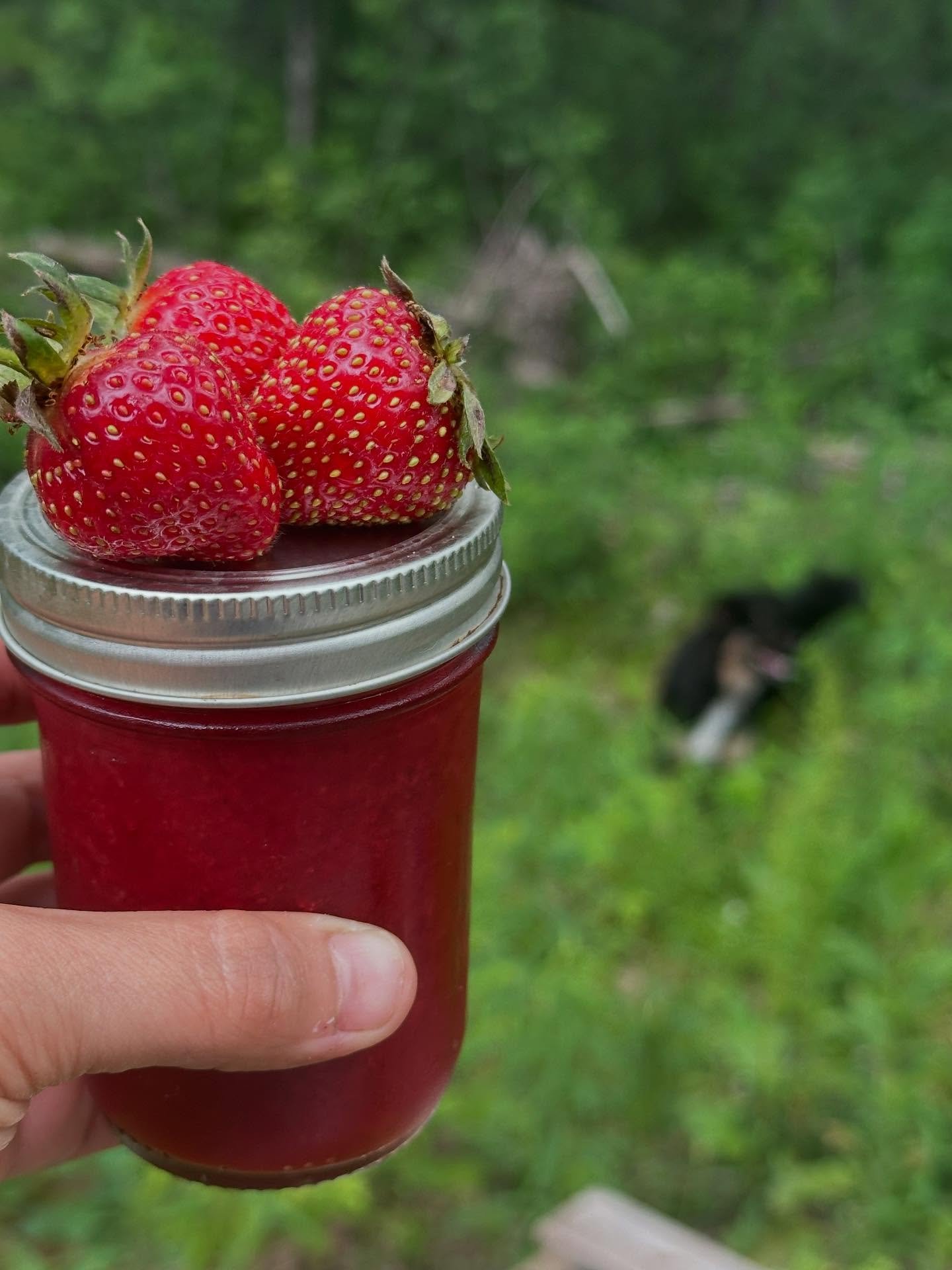 It&rsquo;s strawberry jam season!  Next Wednesday, learn how to make your own - and take a jar home - with Kate McCarty of University of Maine Cooperative Extension!  4 spots left, link in bio!