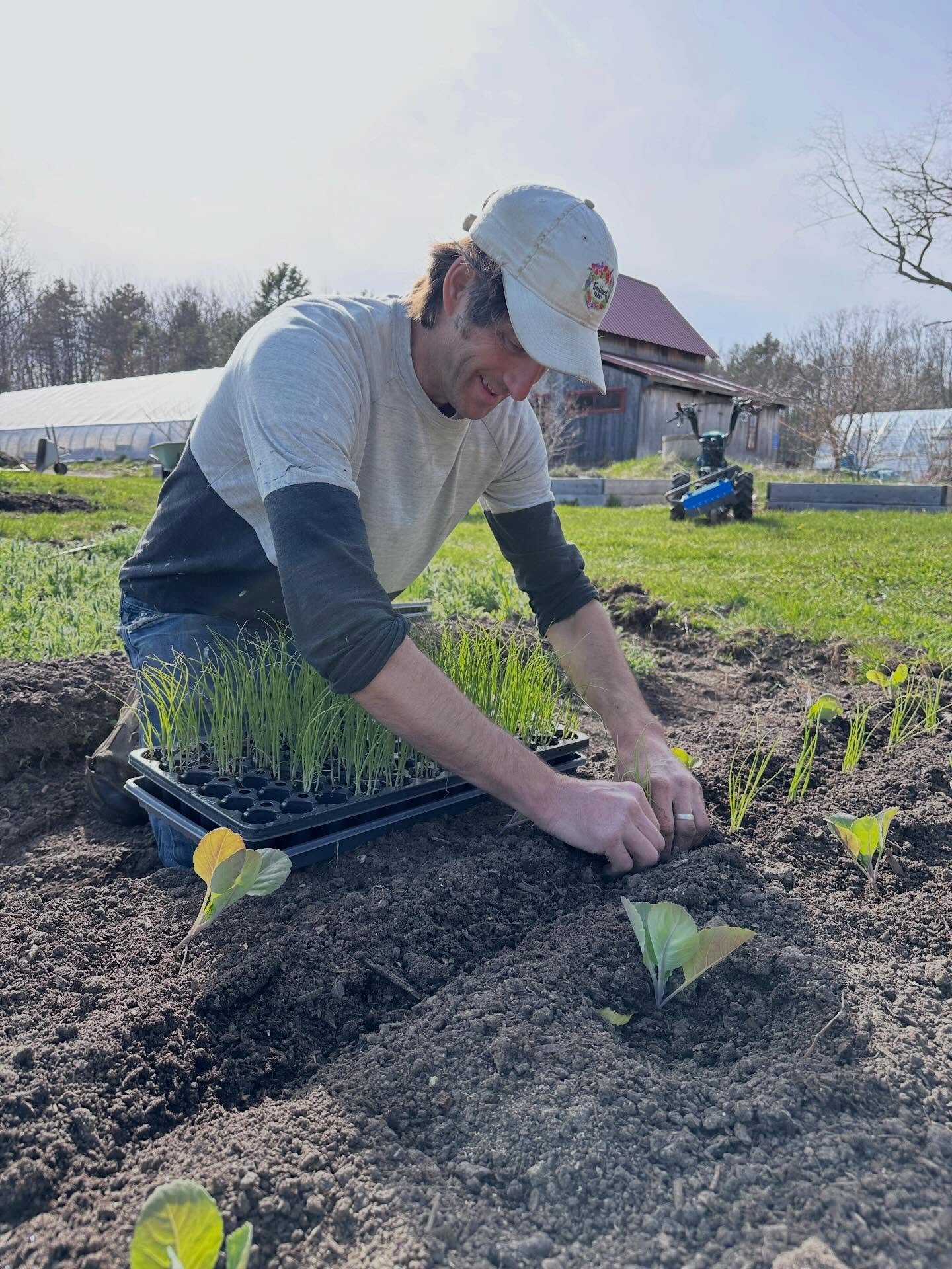 It&rsquo;s farm membership season!  Whether you&rsquo;ve been looking for a farm to get your organic veggies (+) from all summer/fall long, or you&rsquo;re just intrigued by the idea of being part of a community that values local food, curiosity and 