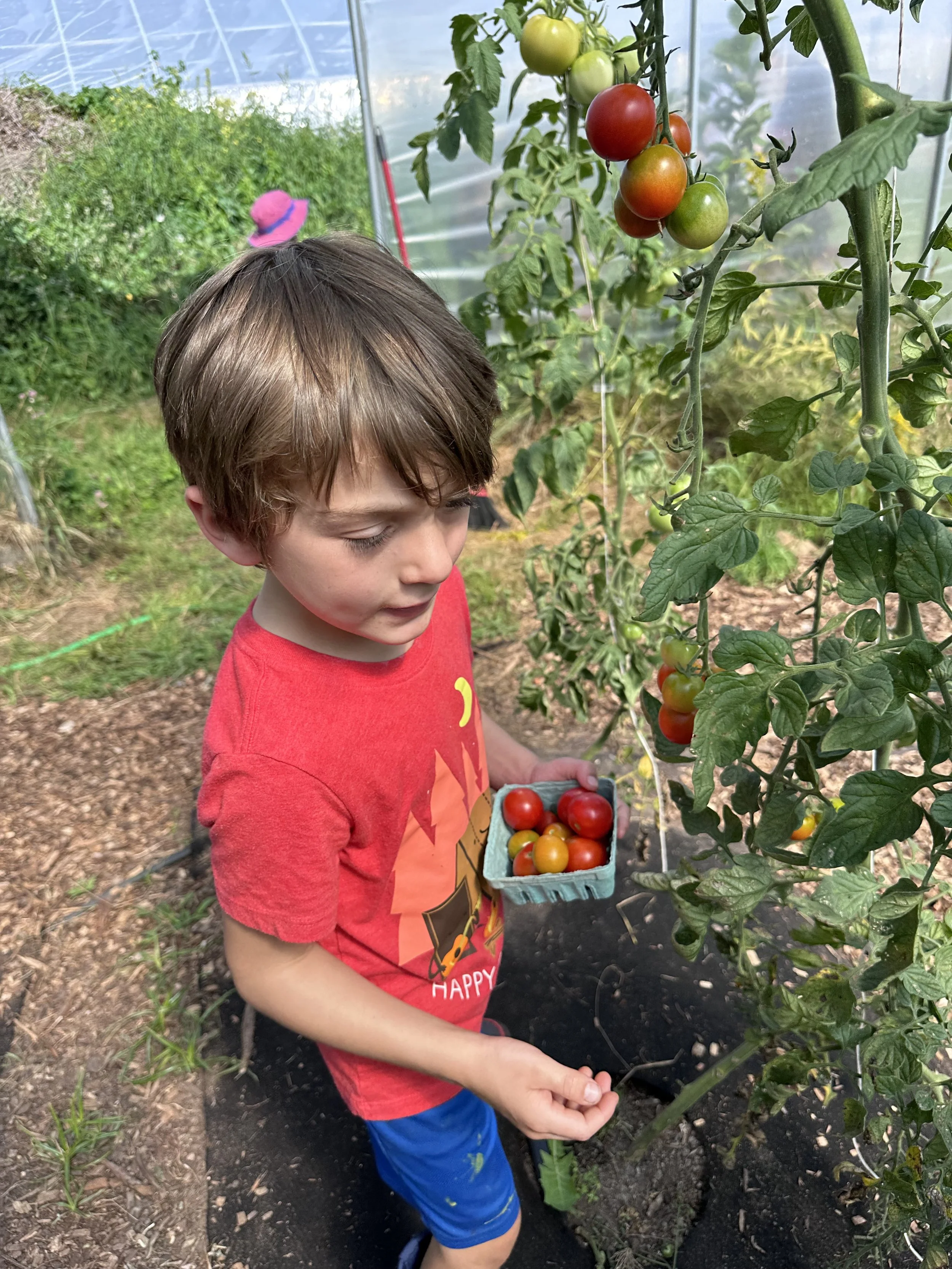 Grow Your Garden Workshop, Part 2