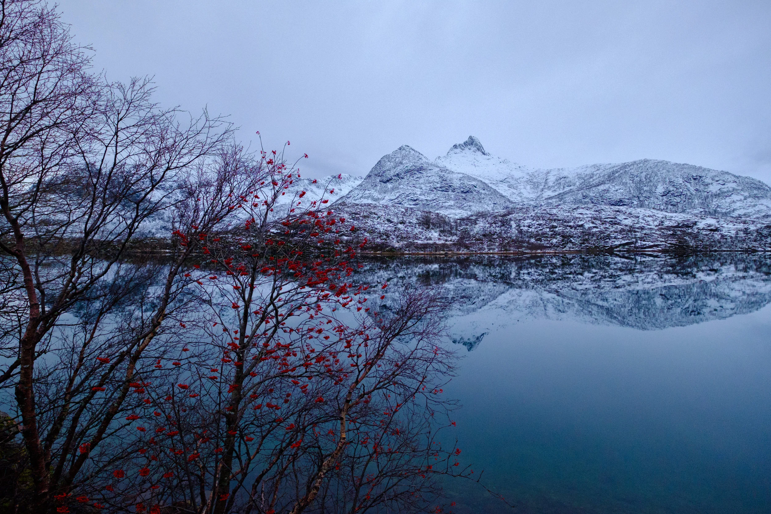 Inspiration Trip Photography Assignment for Mannington Commercial- Lofoten, Norway