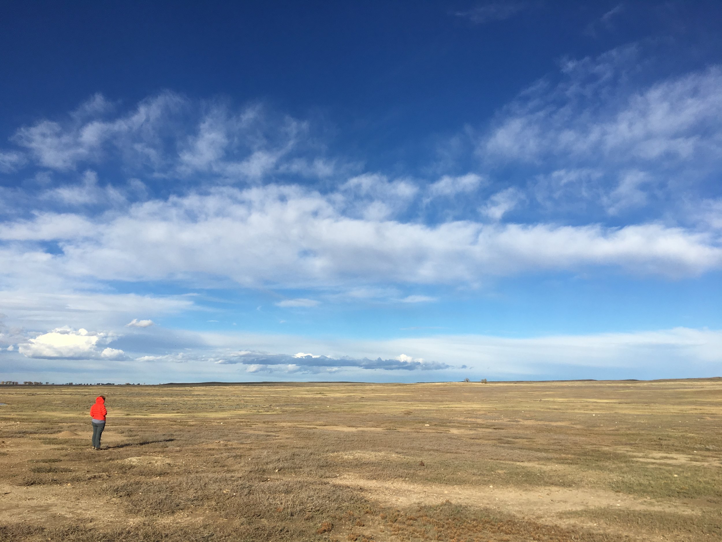 I can see hundreds of miles from here.