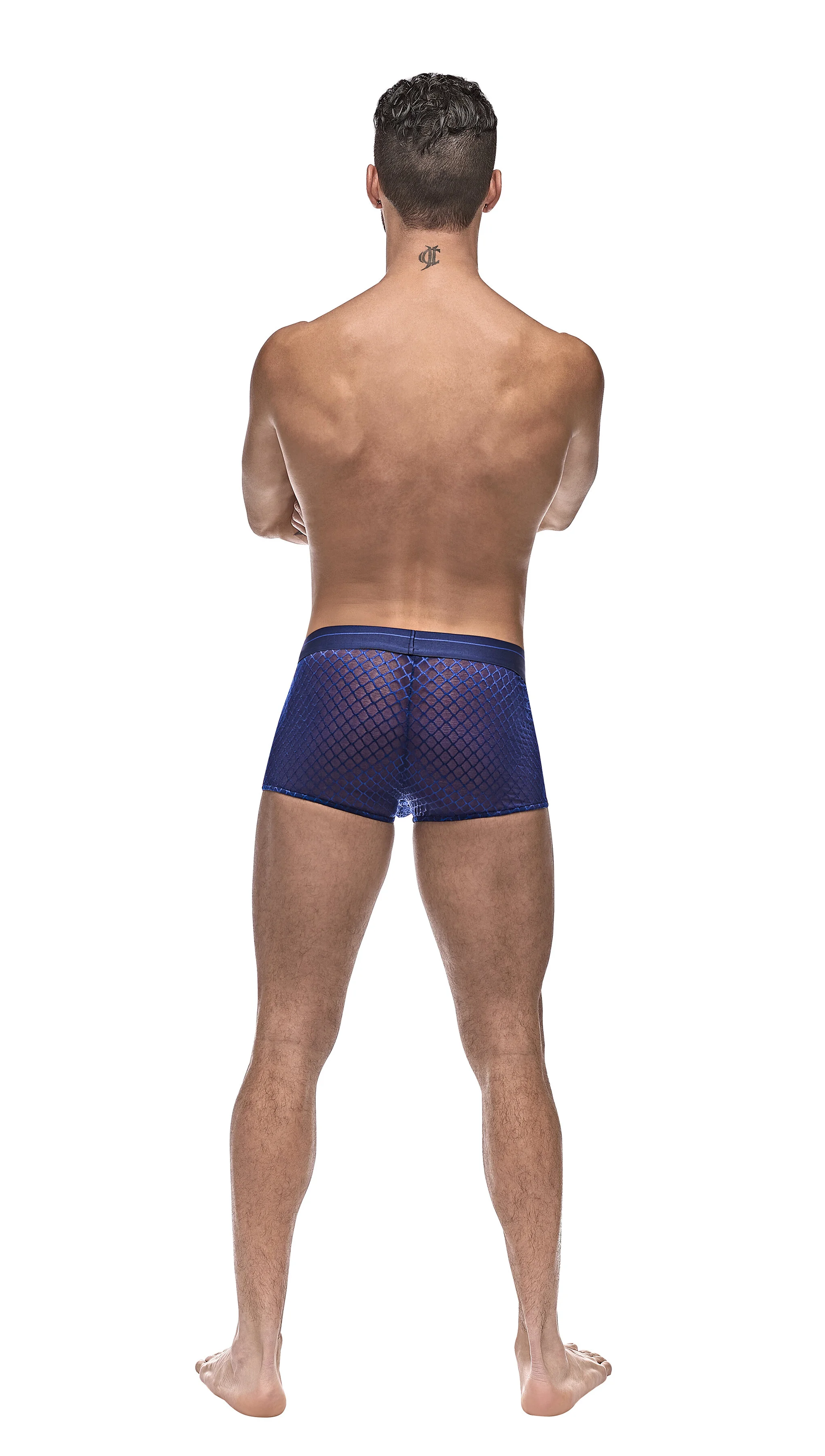 145-264NV_Back.jpg