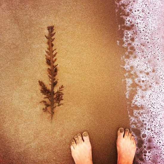 Cherise Thomson | Seaweed, sand, seafoam and feet