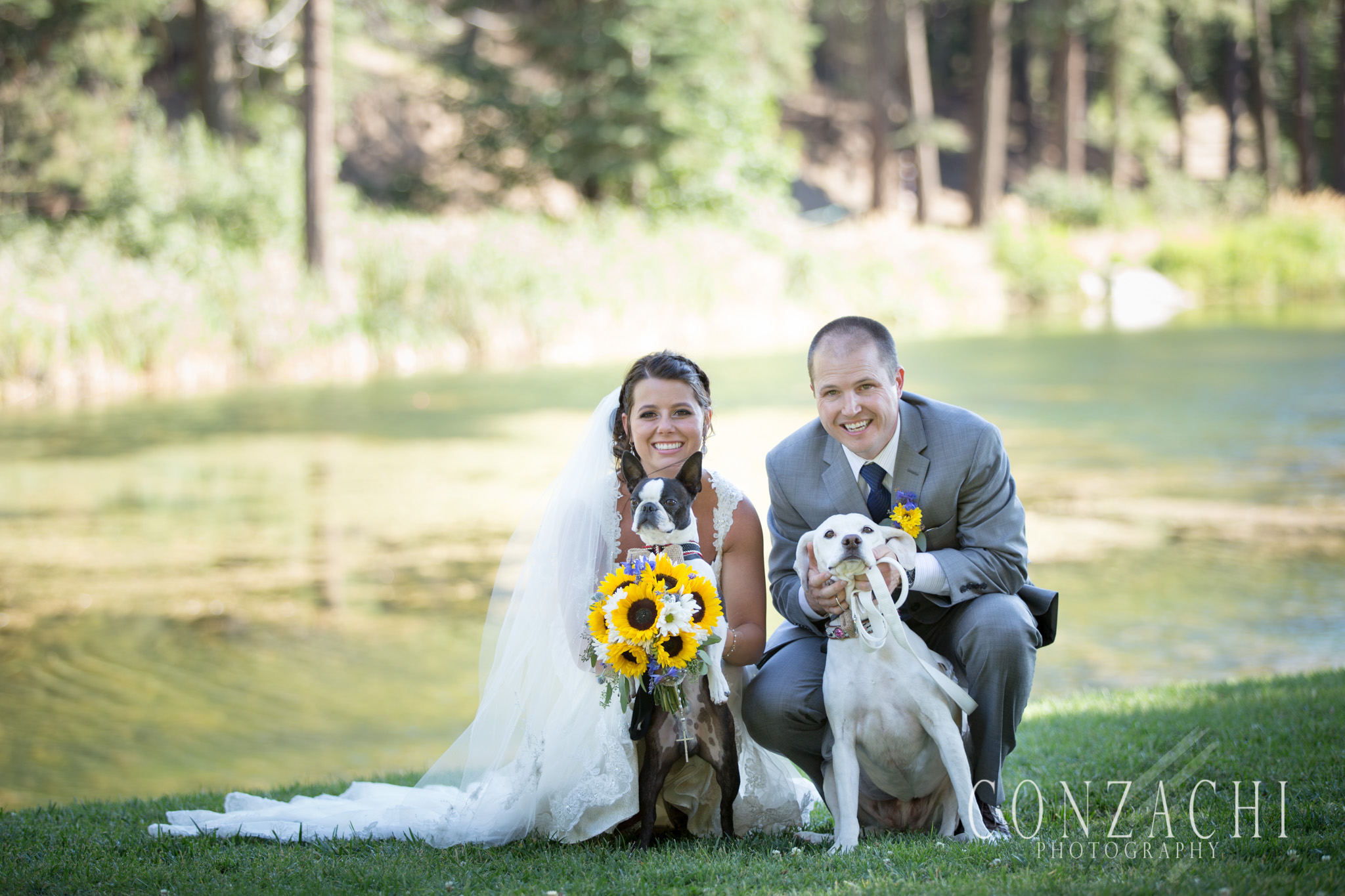 Oh, and they have two awesome dogs, Elvis and Janie.