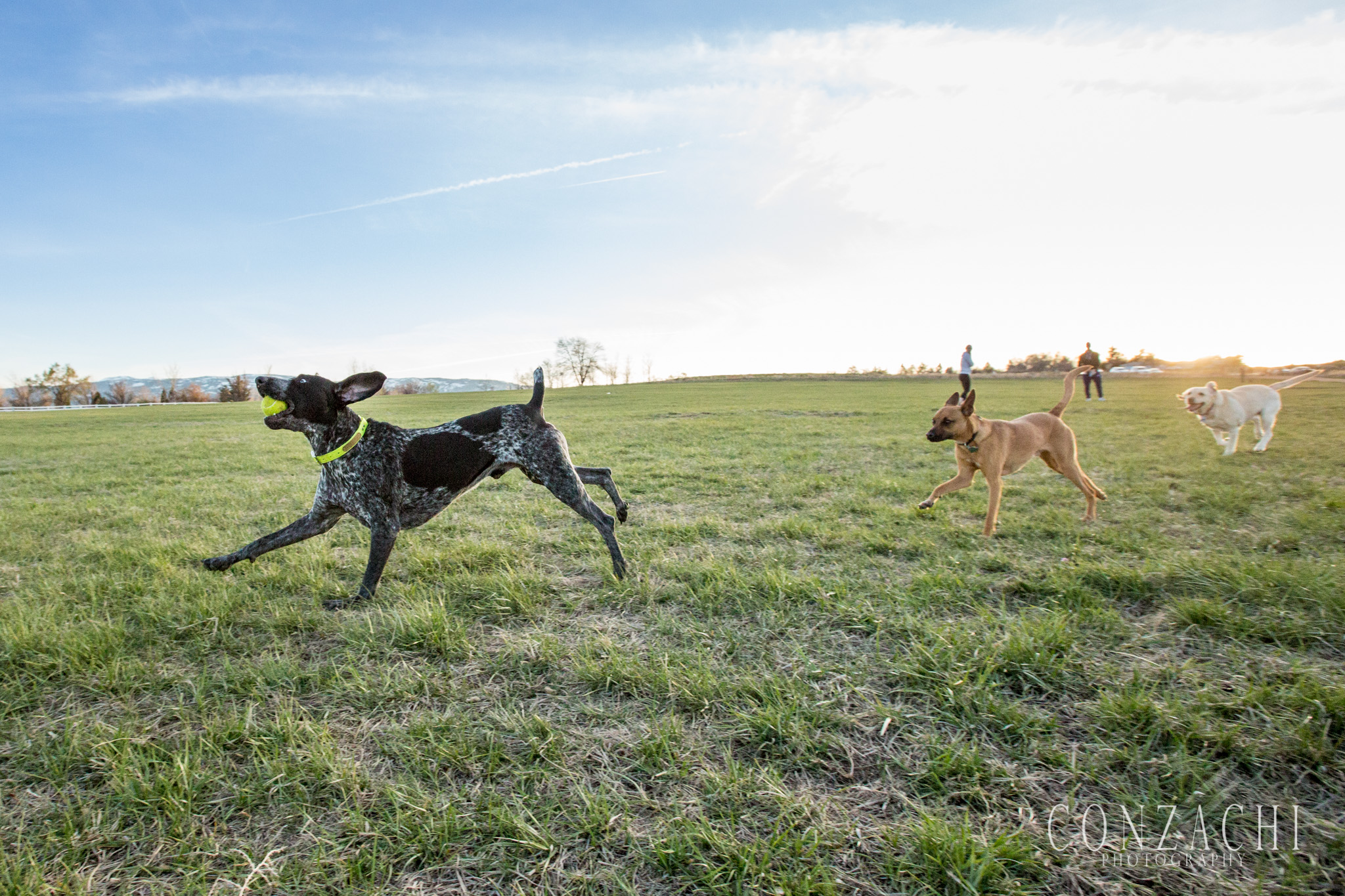 "I GOTS THE BALL!"
