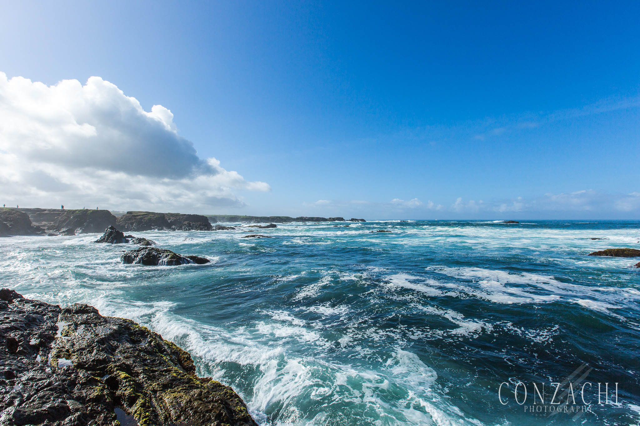 Fort Bragg Camping 2017-0023.jpg