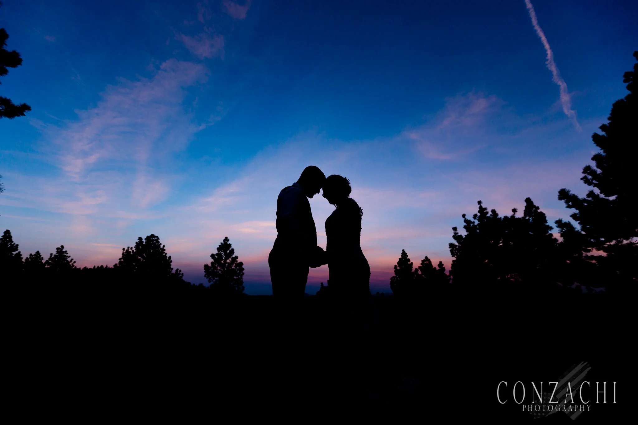 Teaser Flury Wedding Conzachi Photography 2019-0066.jpg