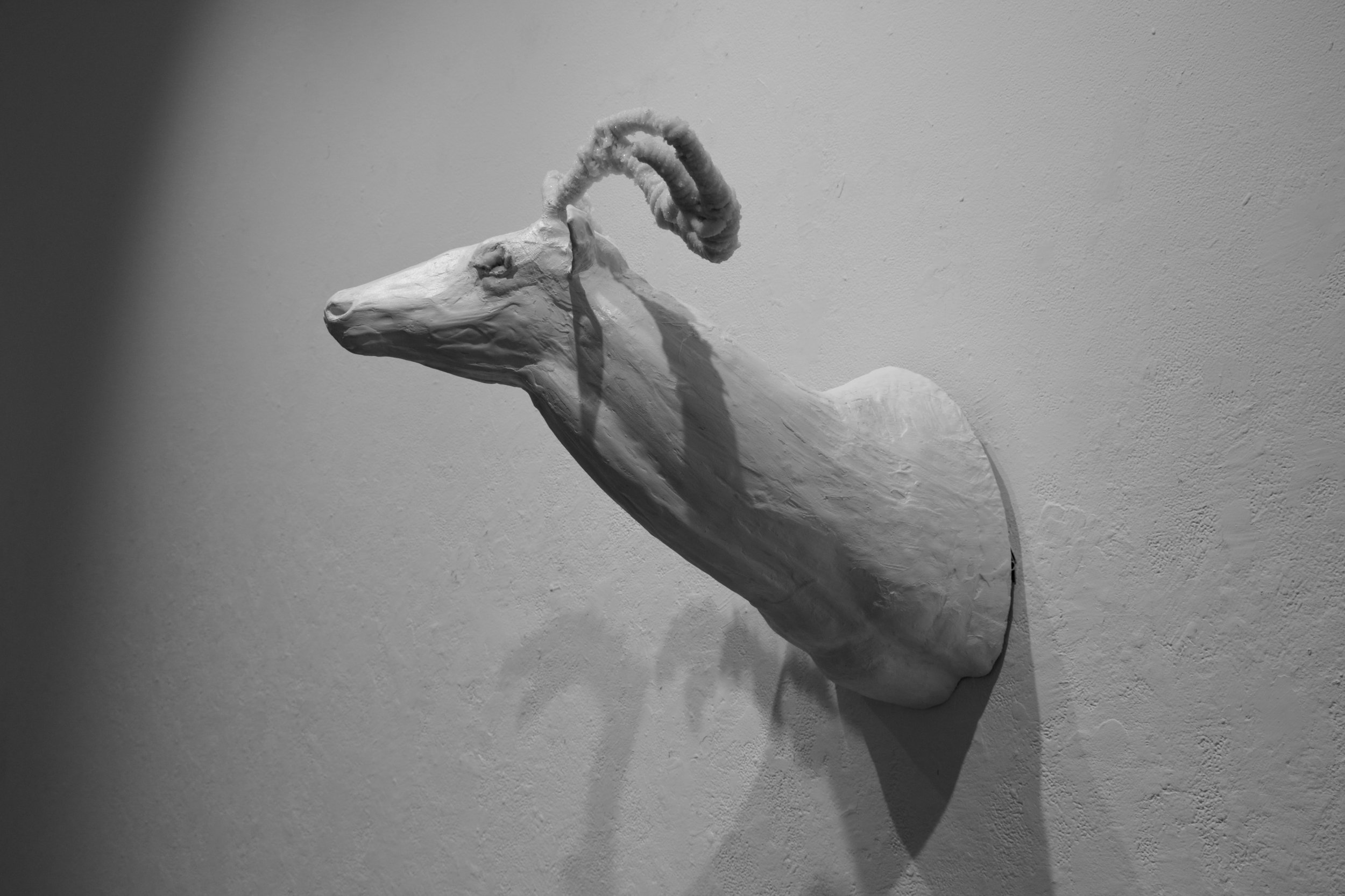 work by: Felicia Dunn