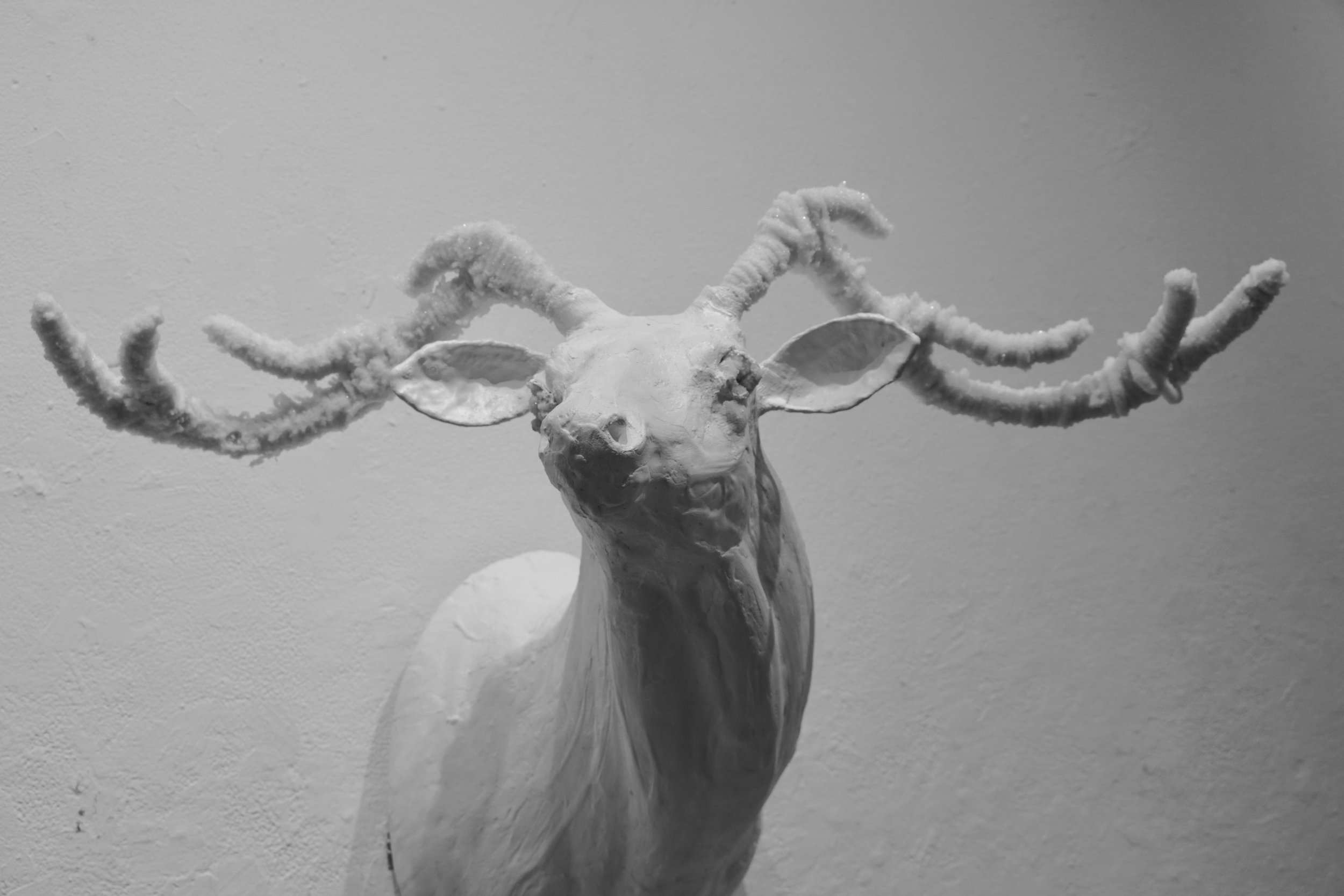 work by: Felicia Dunn