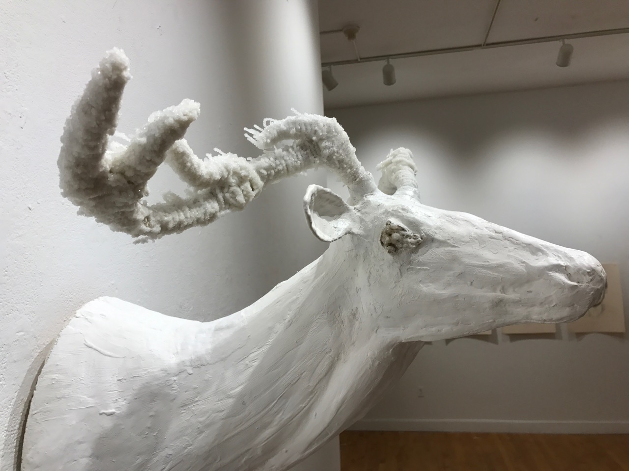 massart - 14.jpg