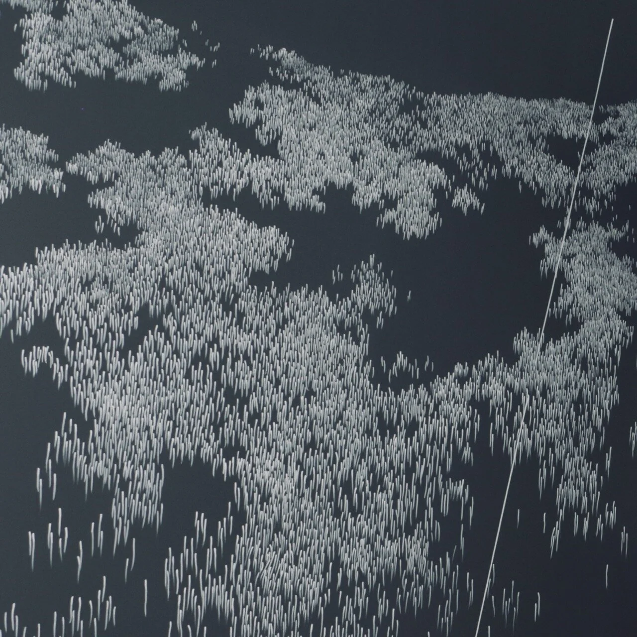 02_field blue (detail).jpeg