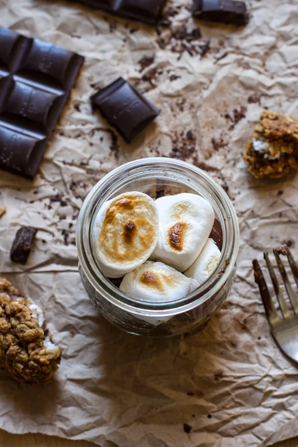 Pumpkin Oatmeal Cookie S'mores | edibleperspective.com