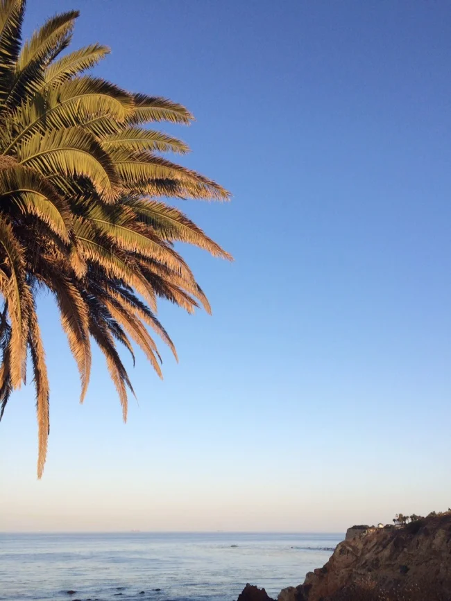Terranea Resort Blogger Retreat | edibleperspective.com