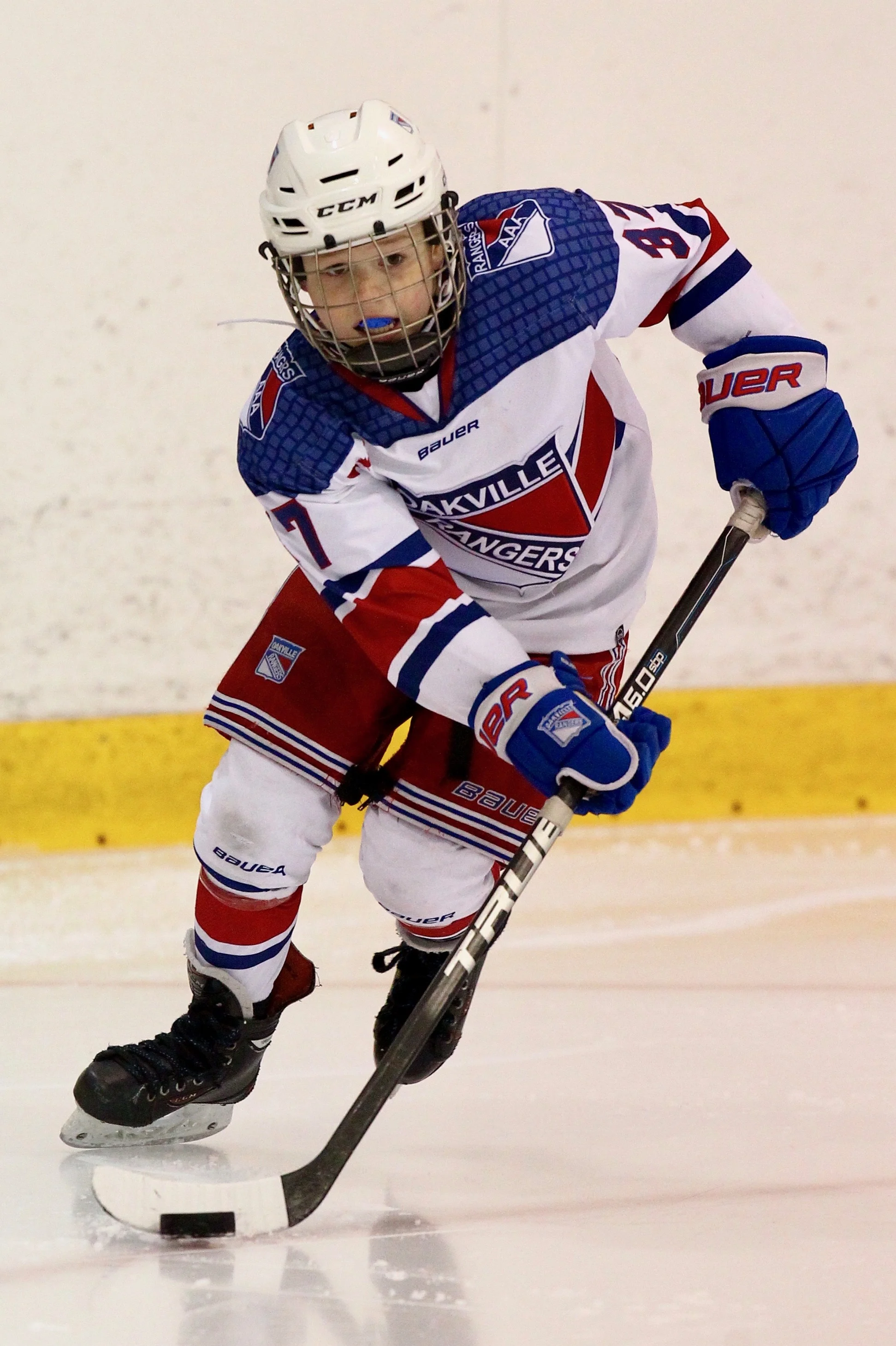33DS4576 cropped.jpg