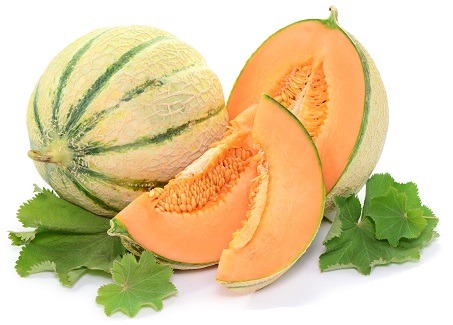 Cantaloupe