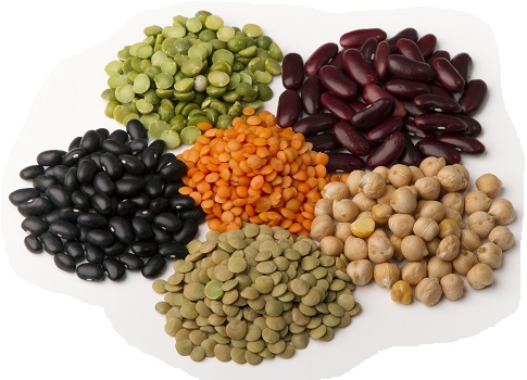 beans & lentils are the best source of soluble fiber