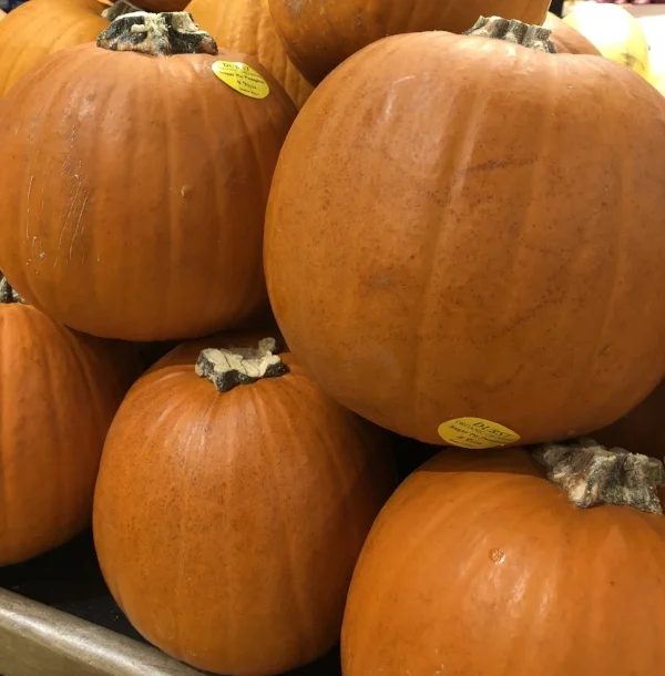 Pumpkins in store.jpg