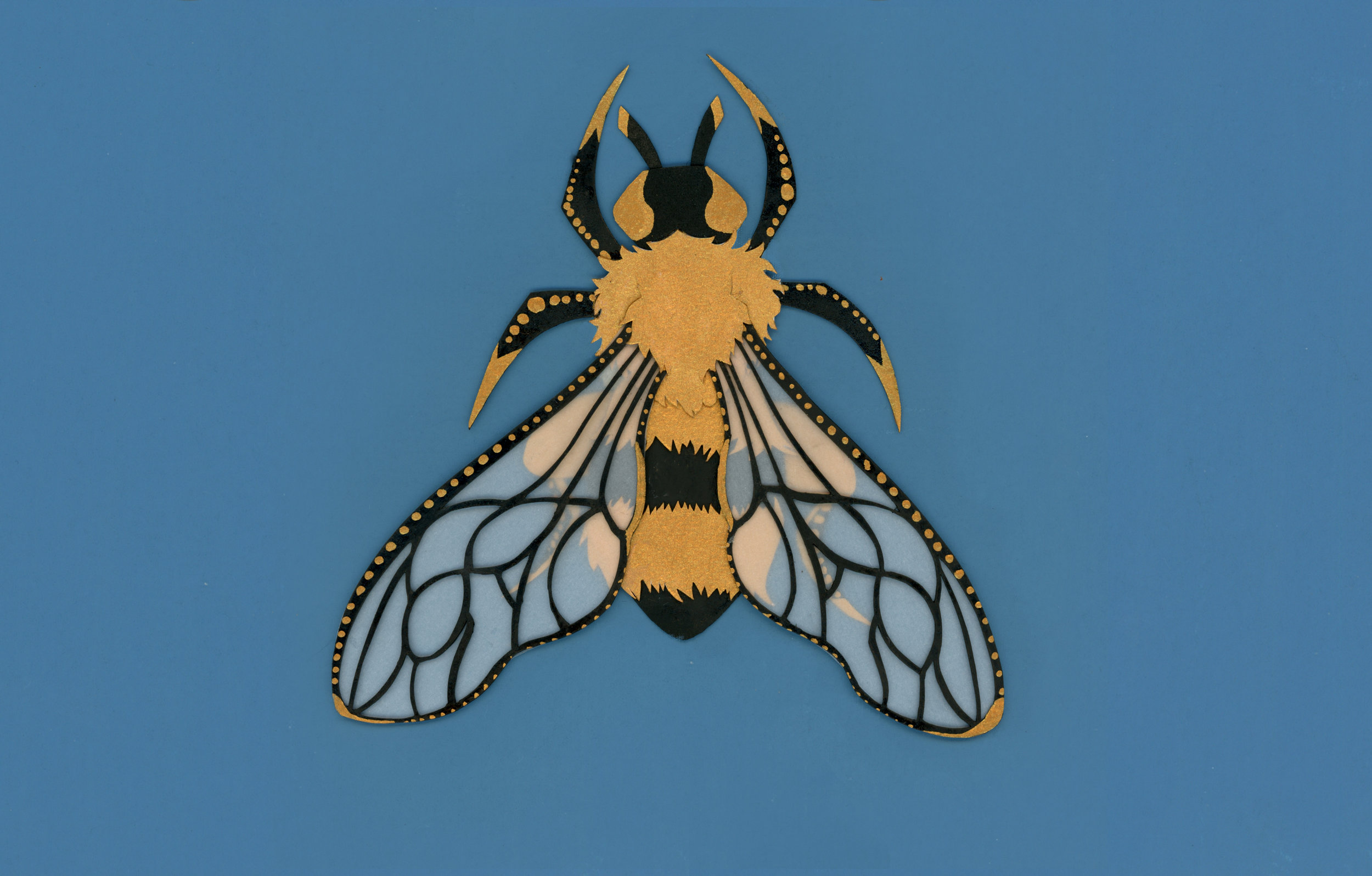 bee_5.jpg